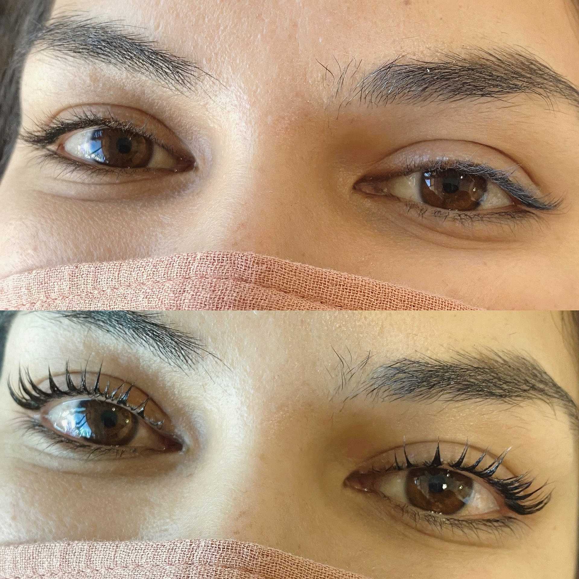 Lash Beauty Bar